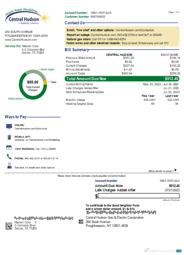 Download Central Hudson Energy Group utility business bill, page 1, SCR Photoshop template